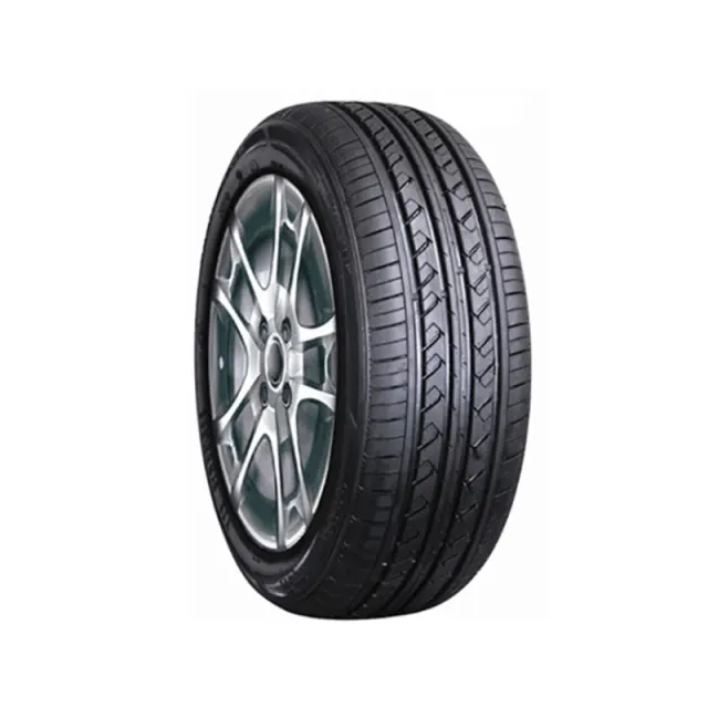 225/60/R16 RAPID HT P309